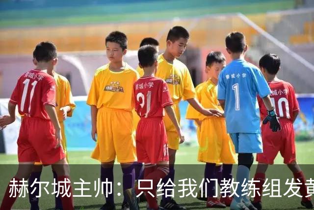 赫尔城主帅：只给我们教练组发黄牌却不警告纽卡，我觉得不太公平